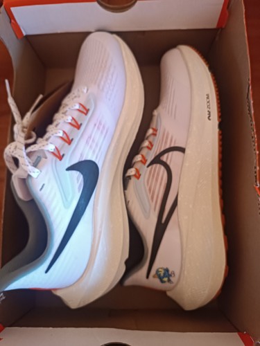 Nike air zoom pegasus - zoom, 39