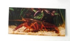 cartes merveilles du monde 425