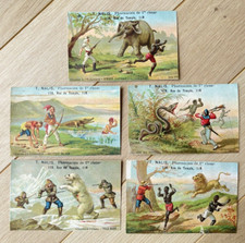 5 Chromos Thème Chasse à