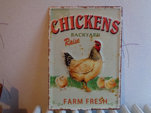 Tole metal chickens poule - tole,