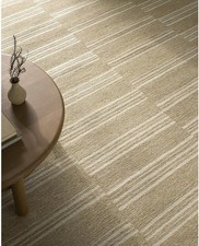 Tapis beige moderne pour salon