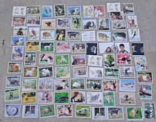 lot ancienne image  animaux familiers   panini