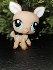 ✨️LPS # 979 LITTLEST