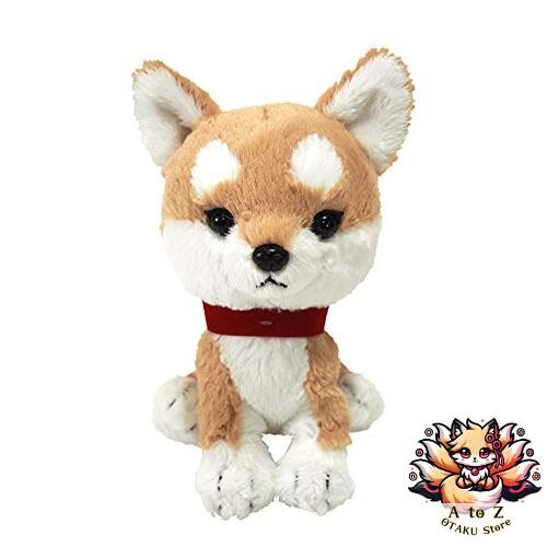 Nouveaux chiots sun - chiots,