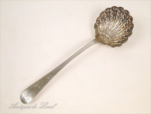 Cuillère saupoudrer en - à,
