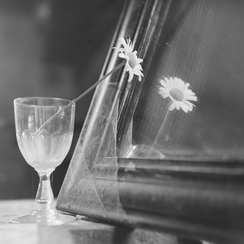 Photo papier argentique - photo,