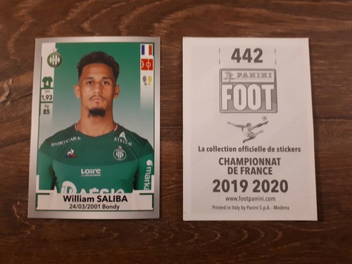 Image panini foot - panini,