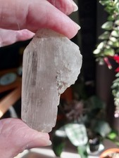 196g kunzite translucide du - 196g.,