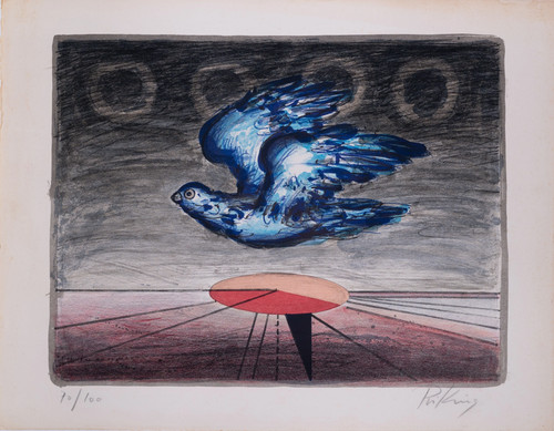 Franz priking bluebird - franz,