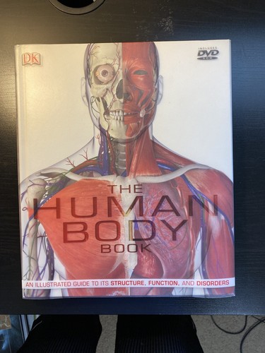 The human body steve - the,