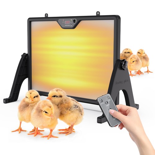 Plaque chauffante poussin - plaque,