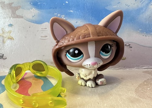 Lps petshop 1864 dog - lps, corgi
