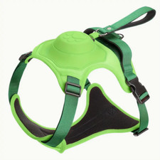 laisse pour chien avec