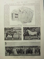 1898 Imprimer ~ Vente De Chevaux Arabes Au Restaurant Paddock De Crabbet Park