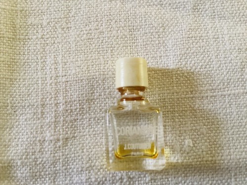 Miniature coriandre jean - coriandre,