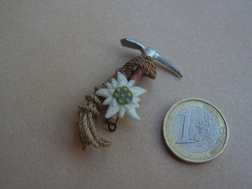 Insigne ski souvenir - insigne,