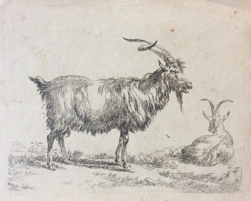 Deux chèvres nicolaes berchem - chèvres,