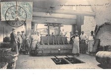 51 . n°205588. les vendanges