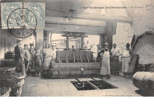 205588 les vendanges - n°205588.,