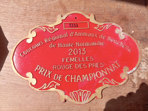 Grande plaque concours - plaque,