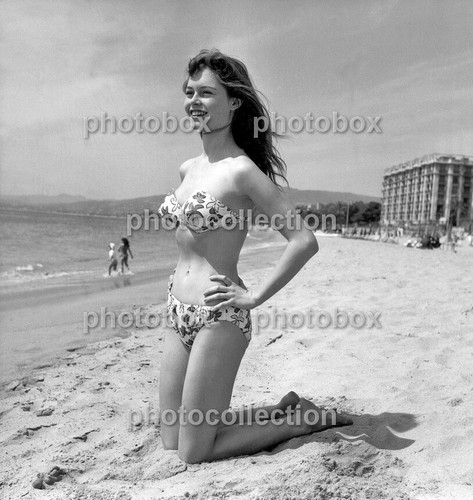 Brigitte bardot exclusive - -,