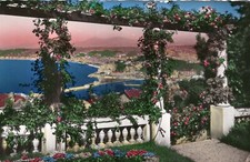 *3413 cpsm Nice - vue prise entre les Pergolas Fleuries