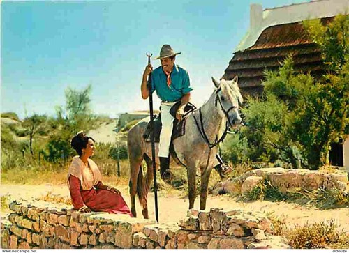 Carte postale animaux - -,