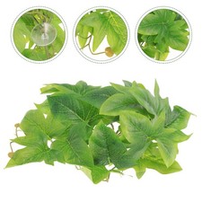 Accessoires Pour Reptiles