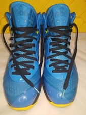 Mens  Lebron 8 *Entourage* V2