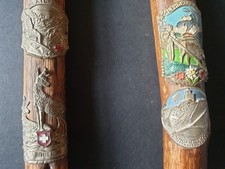 2 cannes de montagne de