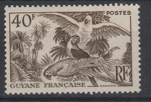 Guyane colonie francaise de - colonie,