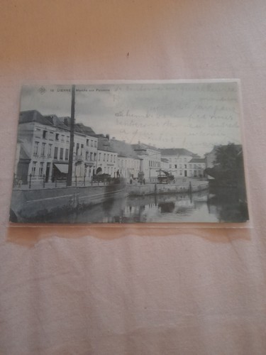 Carte postale ancienne - postale, lierre