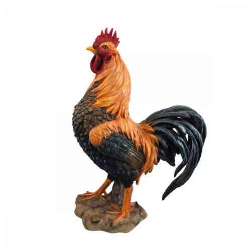Statue coq résine - statue, cm
