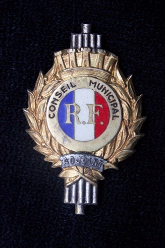 Insigne fonction conseil - insigne,