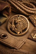 Insigne de béret Troupes