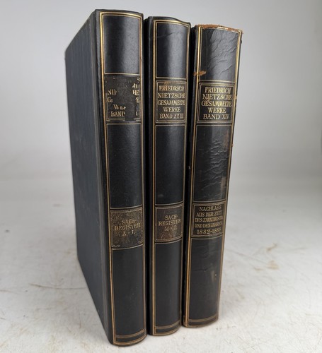 1925 friedrich nietzsche - friedrich,