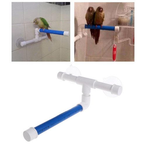 Perchoir bain pour oiseaux - de,
