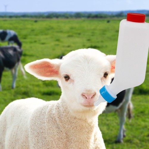Biberon pour lait - pour,