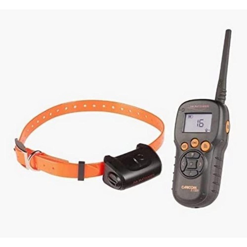 Ensemble dressage pour - ensemble,