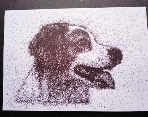Dessin chien épagneul 21x30cm - dessin,