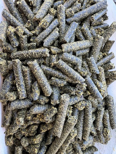 Pellets de colza - pellets,