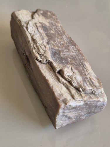 Morceau bois fossilisé - morceau,