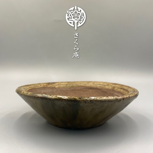 Pot bonsái japonais - pot, à