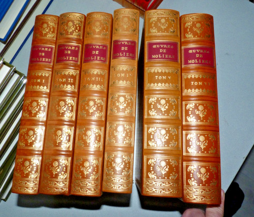 Vol oeuvres molière - 6, de