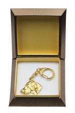 Vizsla, Braque hongrois à