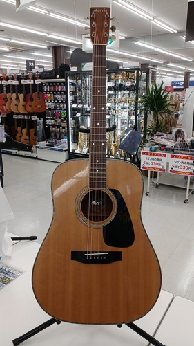 Guitare acoustique morris - guitare,