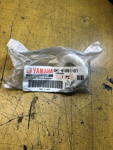 Trou corde yamaha - corde,