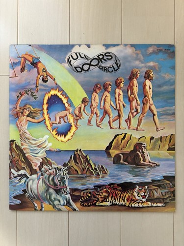 The doors vinyl record lp - the,