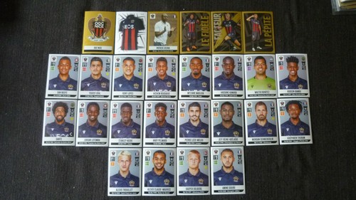 Vignettes panini championnat - vignettes,