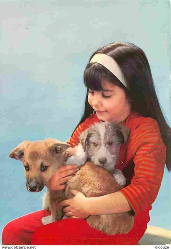 Carte postale animaux - animaux,